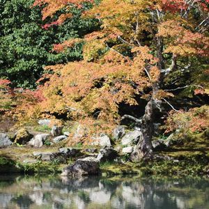 Meet your Posher, Nhung